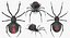 black widow spider rigged 3D