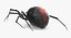black widow spider rigged 3D