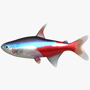 3d model neon tetra