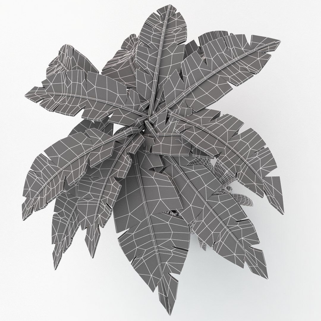 cartoon palm tree 3d model https://p.turbosquid.com/ts-thumb/vy/OZWc7s/JoKhinGw/cpalm1_13/jpg/1454425532/1920x1080/fit_q87/415fb891e63230934e2ea40cb932d8657c6bf586/cpalm1_13.jpg