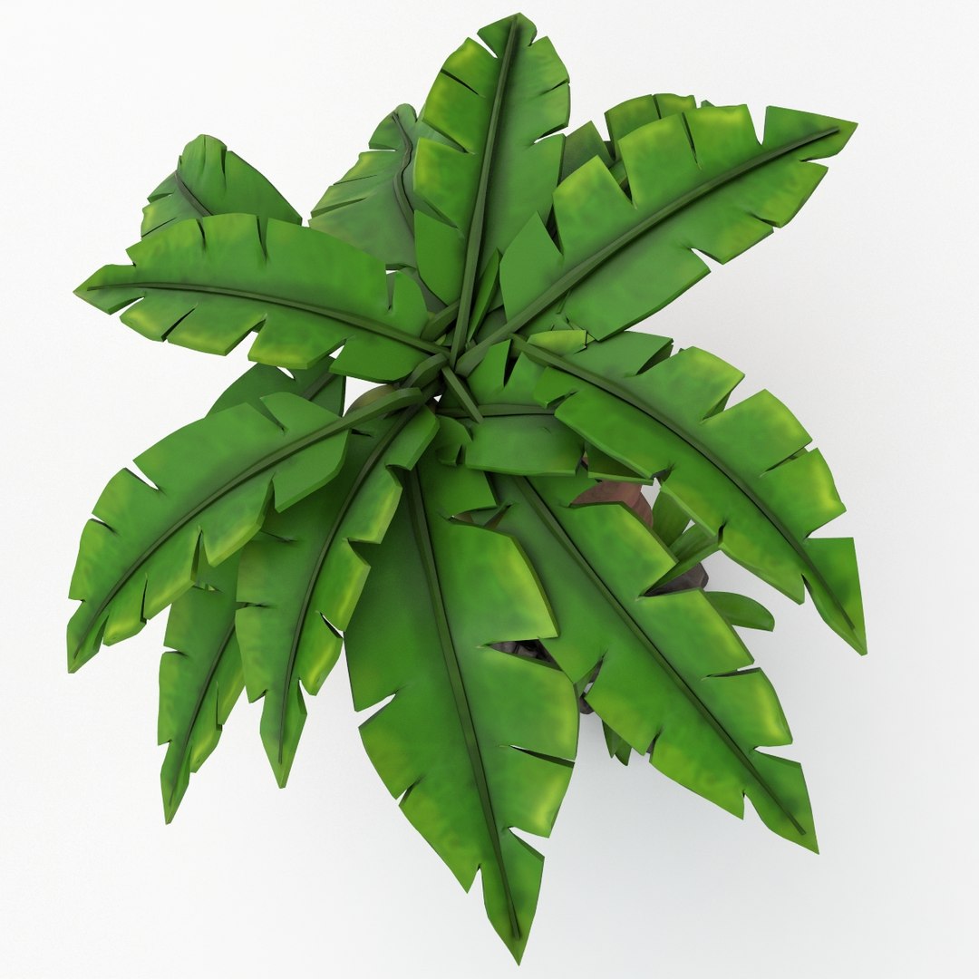 cartoon palm tree 3d model https://p.turbosquid.com/ts-thumb/vy/OZWc7s/xZntwXfS/cpalm1_5/jpg/1454425532/1920x1080/fit_q87/05533ddb5a3c61ef66349ee9a17e0ef3a7f58d80/cpalm1_5.jpg