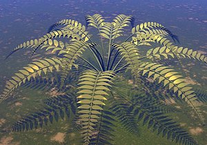 FERN