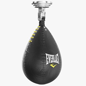 Detailed Everlast Speed Punching Bag 3D model