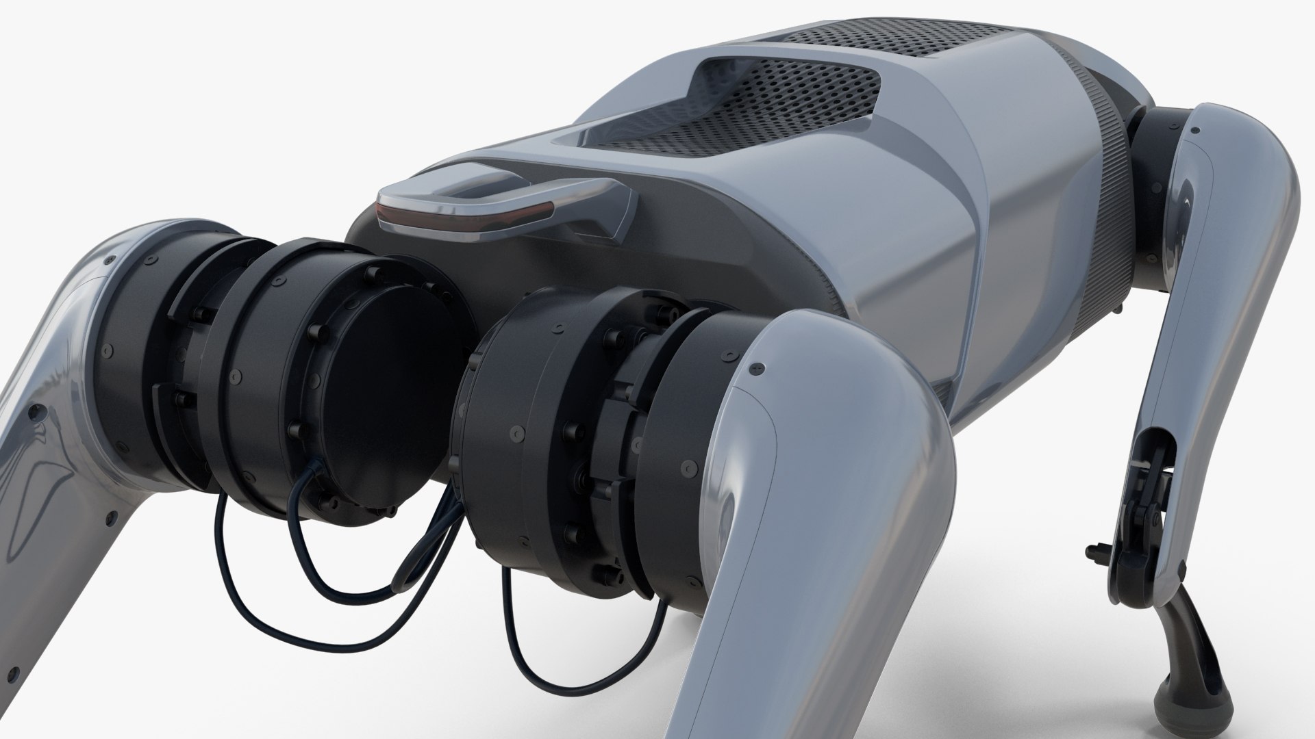 3D model Cyberdog https://p.turbosquid.com/ts-thumb/vy/eJgjWH/Bs/cyberdogvray3dmodel017/jpg/1641156988/1920x1080/fit_q87/03088a2fe1c02a5d313ea4dddc3b37d3c073b9a6/cyberdogvray3dmodel017.jpg