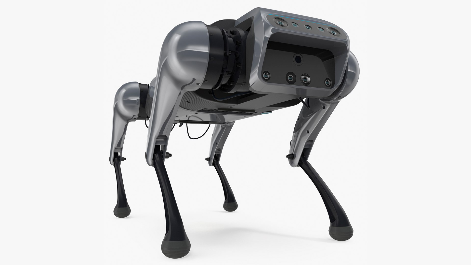 Cyberdog 3D model preview
