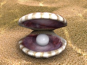 shell pearl - 2009 3d max