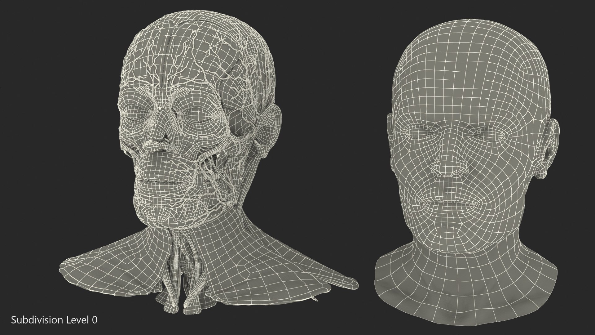 3D human head anatomy skin model https://p.turbosquid.com/ts-thumb/vy/iBFNnc/USP9codN/humanheadfullanatomyandskin3dmodel032/jpg/1574361141/1920x1080/fit_q87/fa1983d410e4fb9d5f2bb785fa97c780e0b0a370/humanheadfullanatomyandskin3dmodel032.jpg