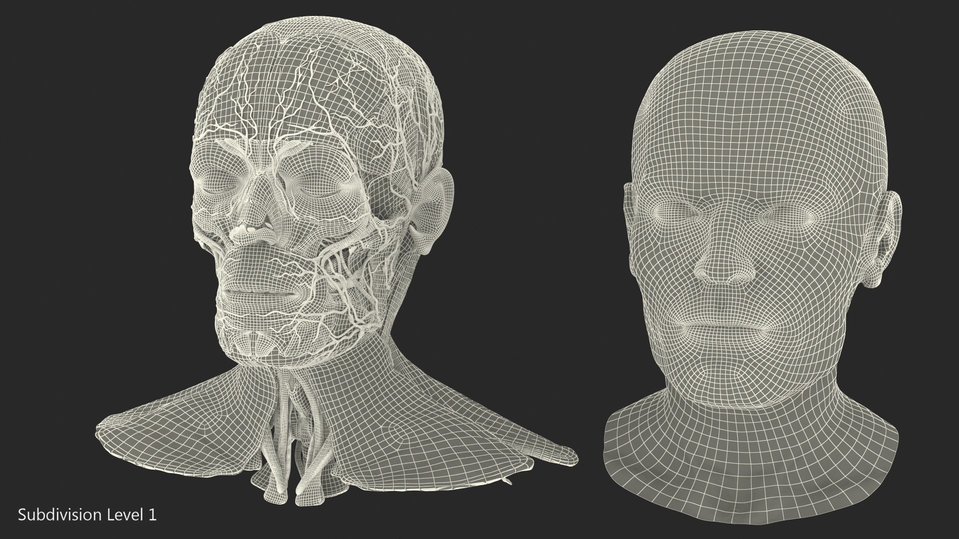 3D human head anatomy skin model https://p.turbosquid.com/ts-thumb/vy/iBFNnc/XsOPtWBi/humanheadfullanatomyandskin3dmodel033/jpg/1574361145/1920x1080/fit_q87/92d452efba18f25769fc7fb546d6a34c6c6b00f5/humanheadfullanatomyandskin3dmodel033.jpg