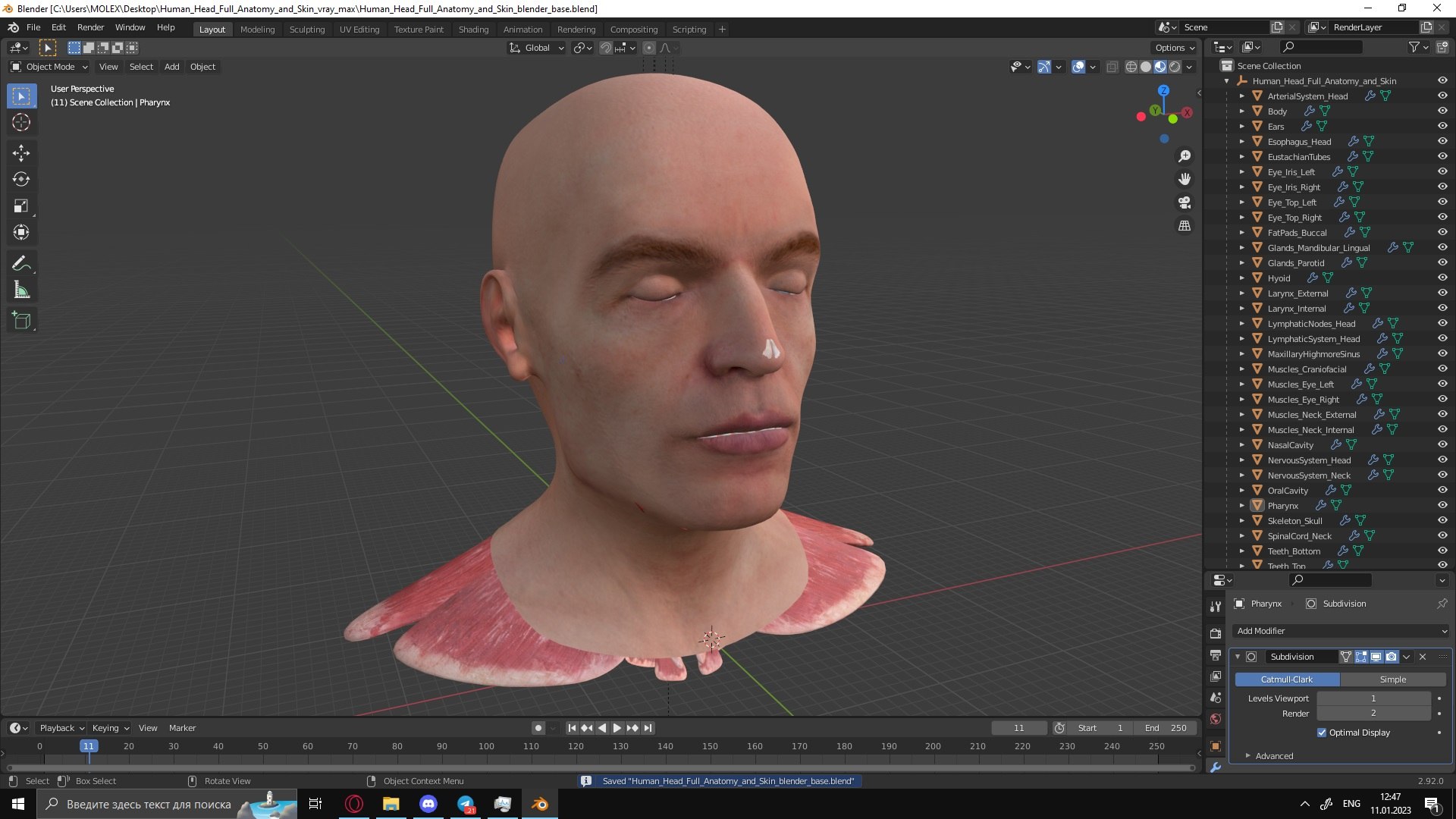 3D human head anatomy skin model https://p.turbosquid.com/ts-thumb/vy/iBFNnc/vu/human_head_full_anatomy_and_skin_1001/jpg/1673433357/1920x1080/fit_q87/02c3783a6471b9409a9b5728575f85682da549f1/human_head_full_anatomy_and_skin_1001.jpg