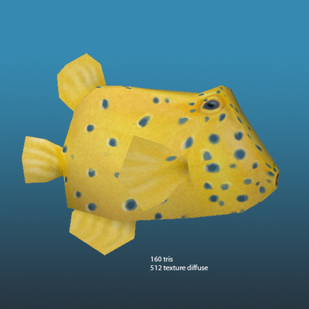 3d crab fish https://p.turbosquid.com/ts-thumb/vy/lFU1p2/birwq3go/boxfish/jpg/1395199342/1920x1080/fit_q87/877ed2c8ef8b30bd73a768ecbf4d853da5120741/boxfish.jpg