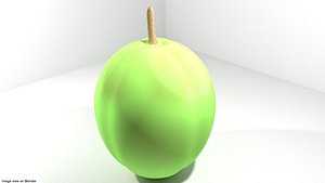 coconut fruit 3D model