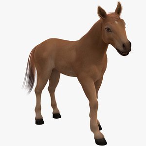 Horse FUR ANIMATED Facial Blend Shapes