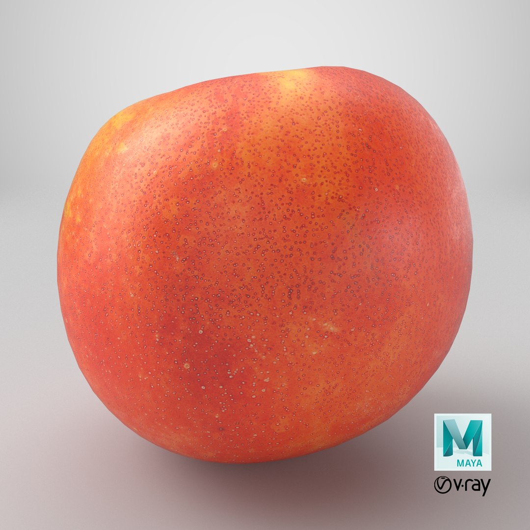 Nectarine 01 - 3D Scanned 3D model https://p.turbosquid.com/ts-thumb/vy/tmOz96/jr/stemcell_maya_vray_render/png/1791997914/1920x1080/fit_q87/9edd0b97b16002df3aff232a1c67df13bc6c5aeb/stemcell_maya_vray_render.jpg