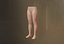 Female Lower Body 3D model