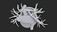 3D Heart Vessels model