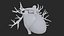 3D Heart Vessels model