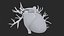 3D Heart Vessels model