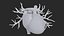 3D Heart Vessels model