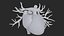 3D Heart Vessels model