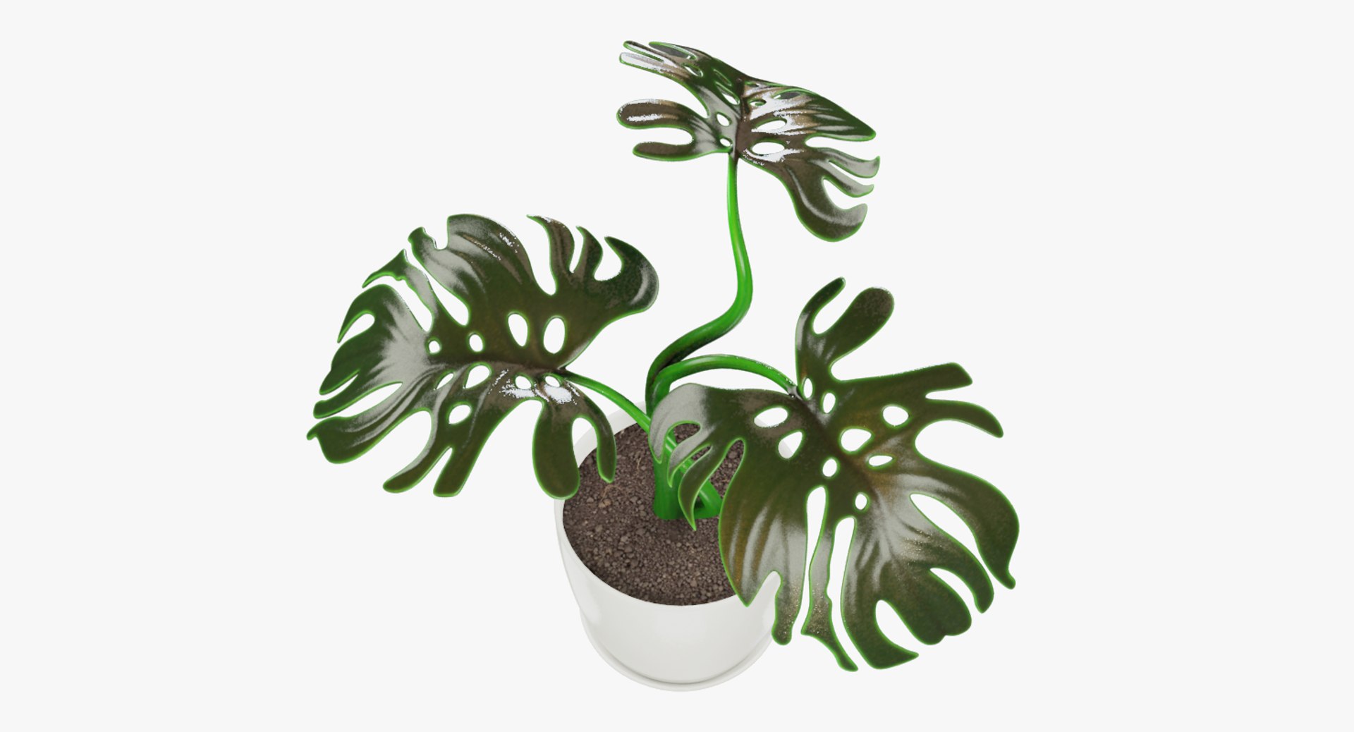 3D model indoor plants https://p.turbosquid.com/ts-thumb/vz/6ymWgl/2bWstL8I/004_001copy/png/1530028454/1920x1080/fit_q87/d00ad57d93adc14f330b5ed762fa9e9a3a8c04d6/004_001copy.jpg