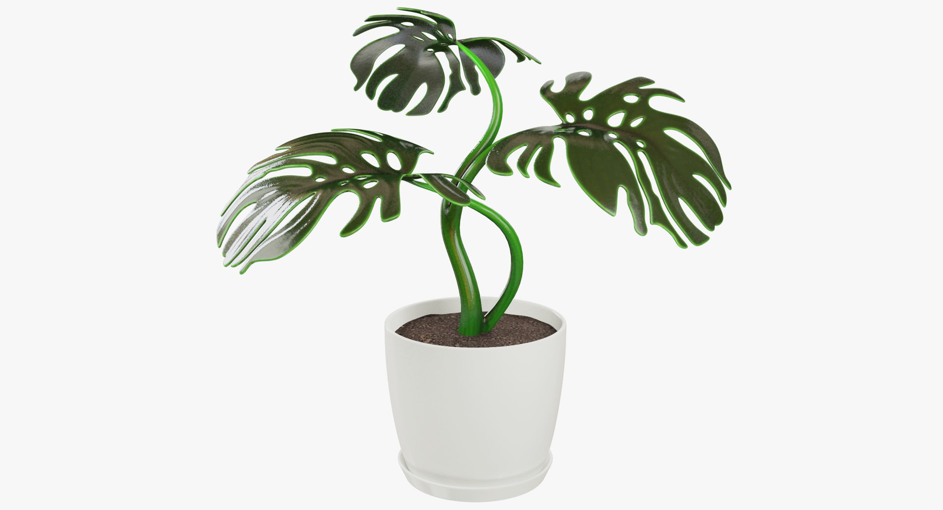 3D model indoor plants https://p.turbosquid.com/ts-thumb/vz/6ymWgl/3IXPXQBi/001/png/1530028416/1920x1080/fit_q87/006906f79eec5764344d1dcd519926cb023b45e0/001.jpg