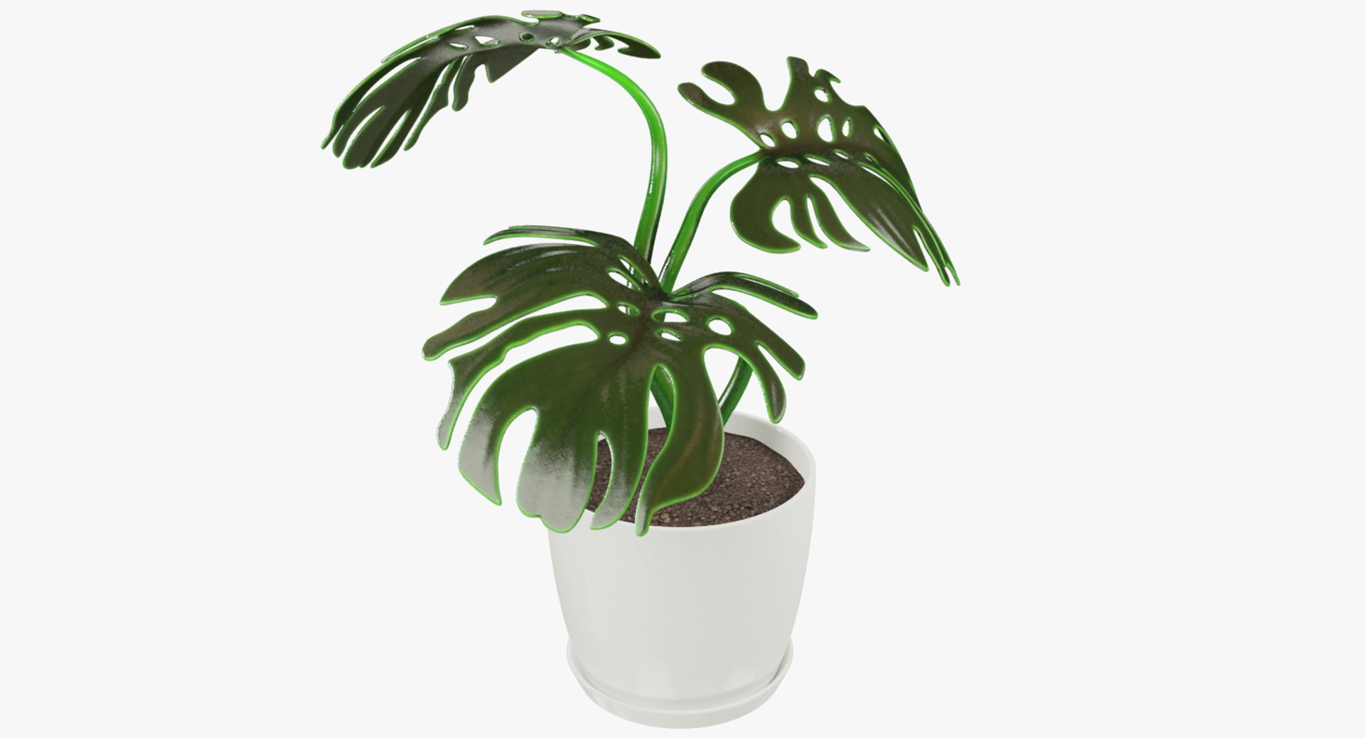 3D model indoor plants https://p.turbosquid.com/ts-thumb/vz/6ymWgl/5a2DHsa0/004_005copy/png/1530028454/1920x1080/fit_q87/f020f228b0a1146dd41d6ebc81e4ea4b7c12e4dc/004_005copy.jpg