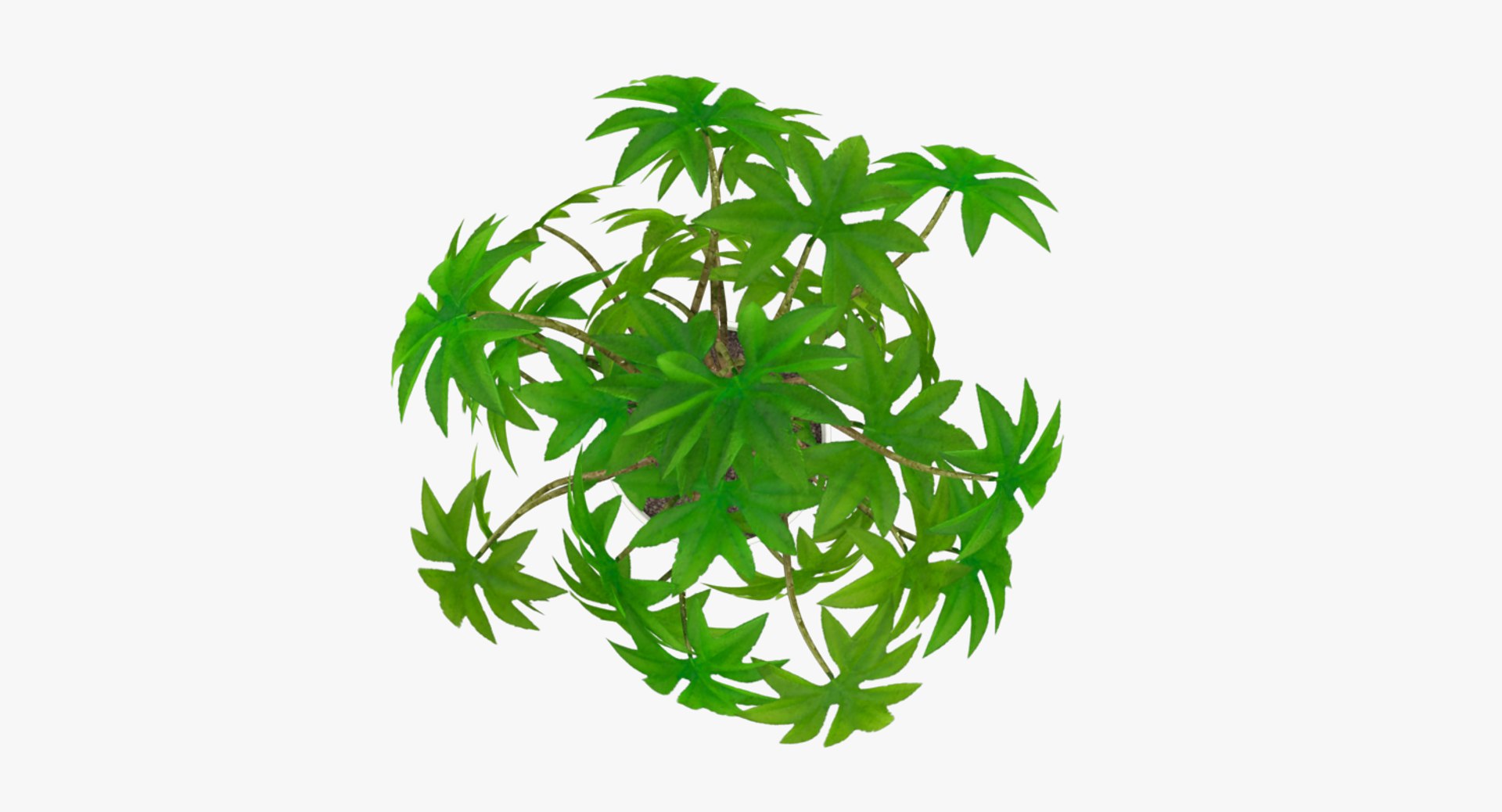 3D model indoor plants https://p.turbosquid.com/ts-thumb/vz/6ymWgl/7QEeT46w/004_004copy/png/1530029314/1920x1080/fit_q87/9e0389f1a09383dfffb50b3cd0a88f0ef99d7cc1/004_004copy.jpg