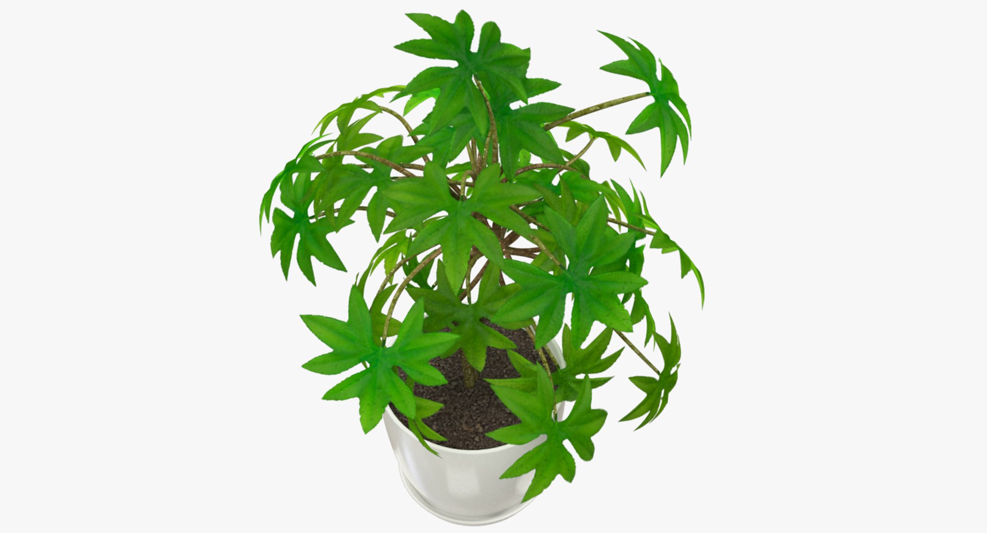 3D model indoor plants https://p.turbosquid.com/ts-thumb/vz/6ymWgl/9OX27c9d/004_006copy/png/1530030218/1920x1080/fit_q87/a514eeb8b7f1977a07b68160949063c6299431d8/004_006copy.jpg