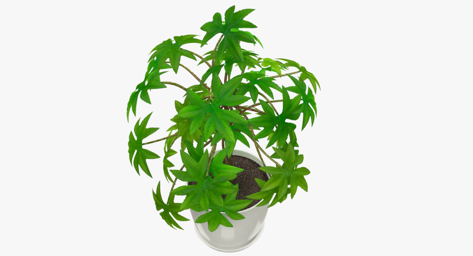 3D model indoor plants https://p.turbosquid.com/ts-thumb/vz/6ymWgl/9T4N29PL/004_005copy/png/1530030218/1920x1080/fit_q87/40cbaedfc838955e9e0386d5720e809136ff1bc7/004_005copy.jpg