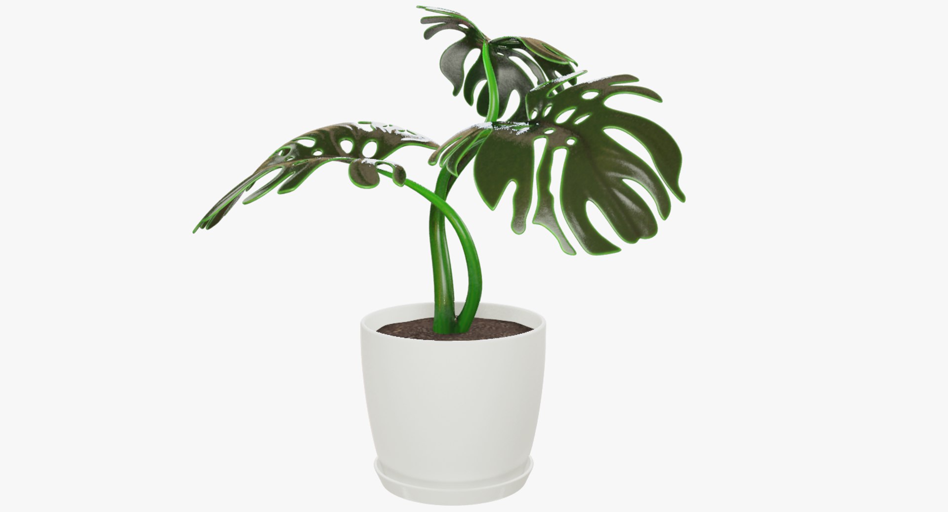 3D model indoor plants https://p.turbosquid.com/ts-thumb/vz/6ymWgl/Bqd5UKdY/004_002copy/png/1530028454/1920x1080/fit_q87/1e8333714698f49ef4ea122cbc52897d7c45735c/004_002copy.jpg