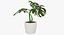 Colección de plantas de interior