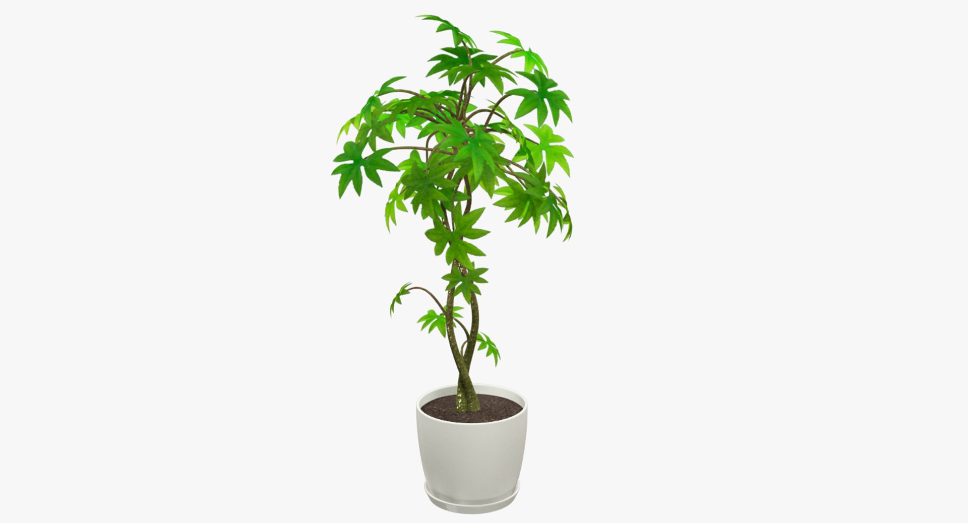 3D model indoor plants https://p.turbosquid.com/ts-thumb/vz/6ymWgl/CzG2o0Bt/004_002copy/png/1530029314/1920x1080/fit_q87/05f1550456f71926a3af930fec3c910b198e2163/004_002copy.jpg