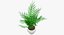 Colección de plantas de interior