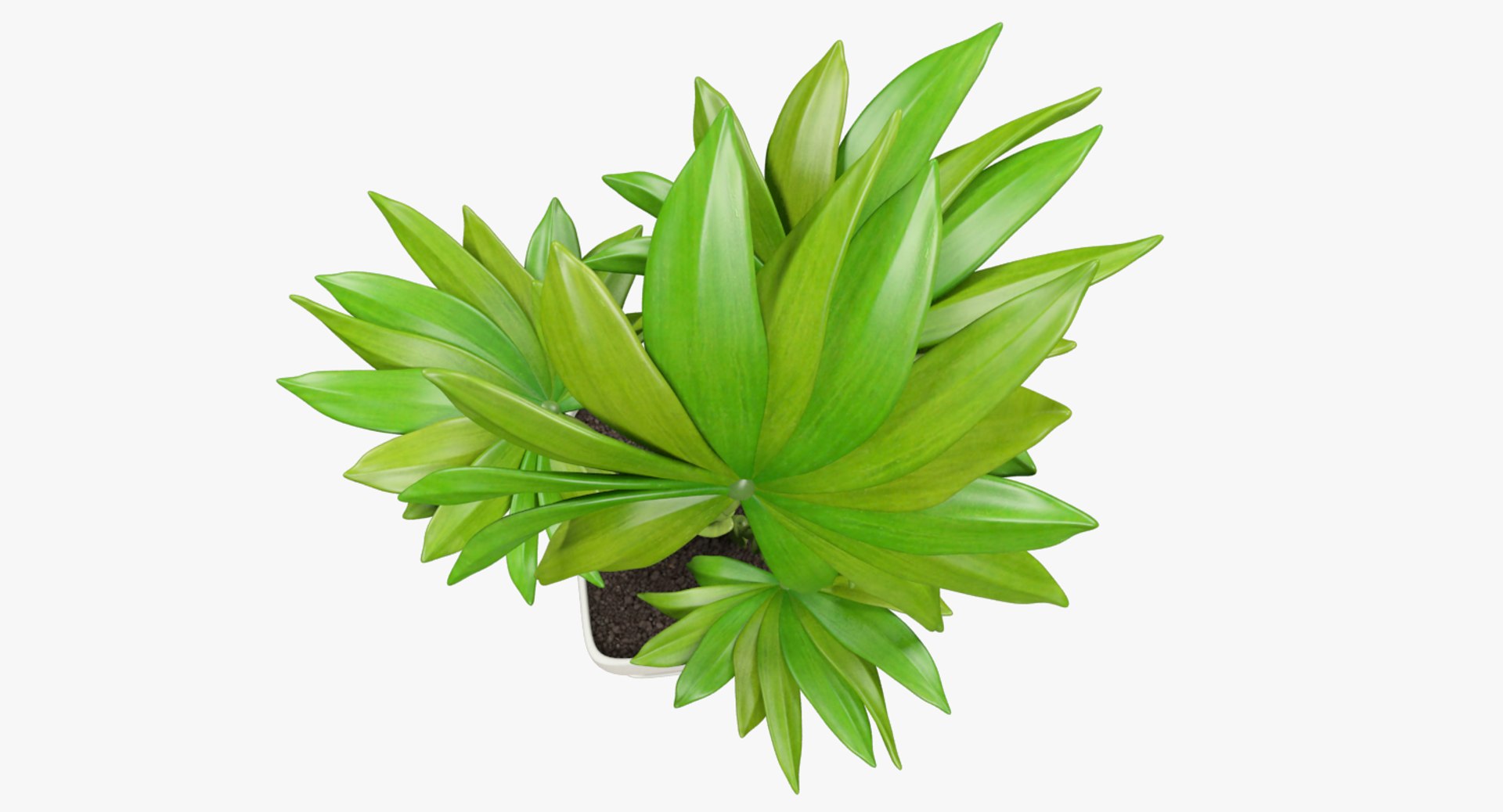 3D model indoor plants https://p.turbosquid.com/ts-thumb/vz/6ymWgl/Fa9dh9GA/004_001copy/png/1530028778/1920x1080/fit_q87/fe5f86b833ad1d5a86ba5366e36c75a76fdaf48b/004_001copy.jpg