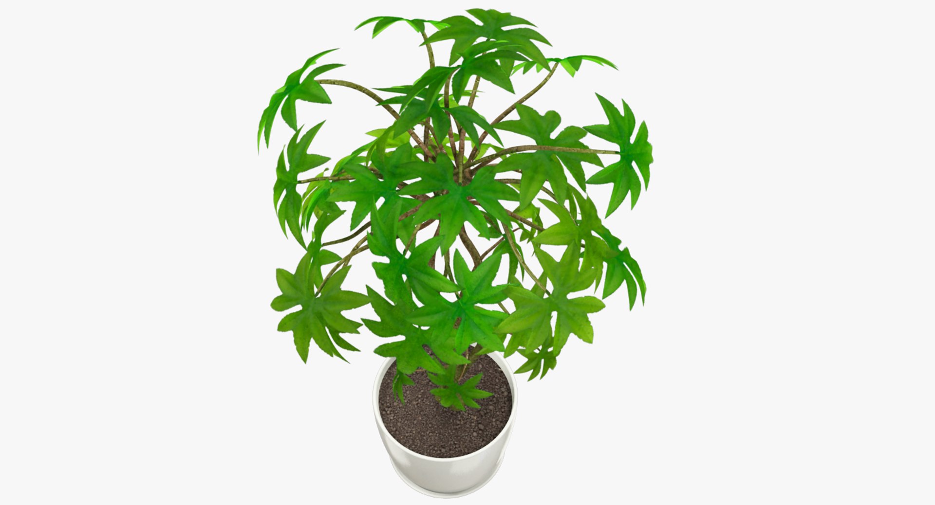 3D model indoor plants https://p.turbosquid.com/ts-thumb/vz/6ymWgl/Ioh3KX1i/004_005copy/png/1530029314/1920x1080/fit_q87/2a80526ac2a322f512c005030daa181fc24a70d6/004_005copy.jpg