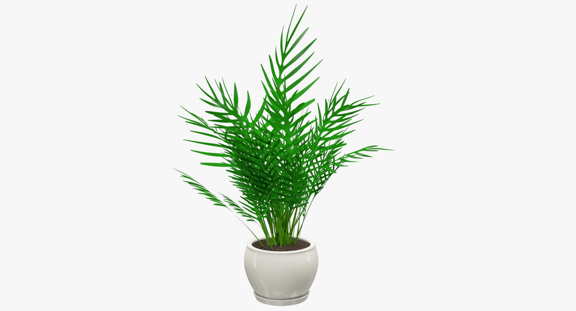 3D model indoor plants https://p.turbosquid.com/ts-thumb/vz/6ymWgl/JQI3wAoS/001/png/1530029895/1920x1080/fit_q87/2fdeb605854f5230db6f89f5587cabdc14b82ad2/001.jpg
