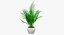 Colección de plantas de interior