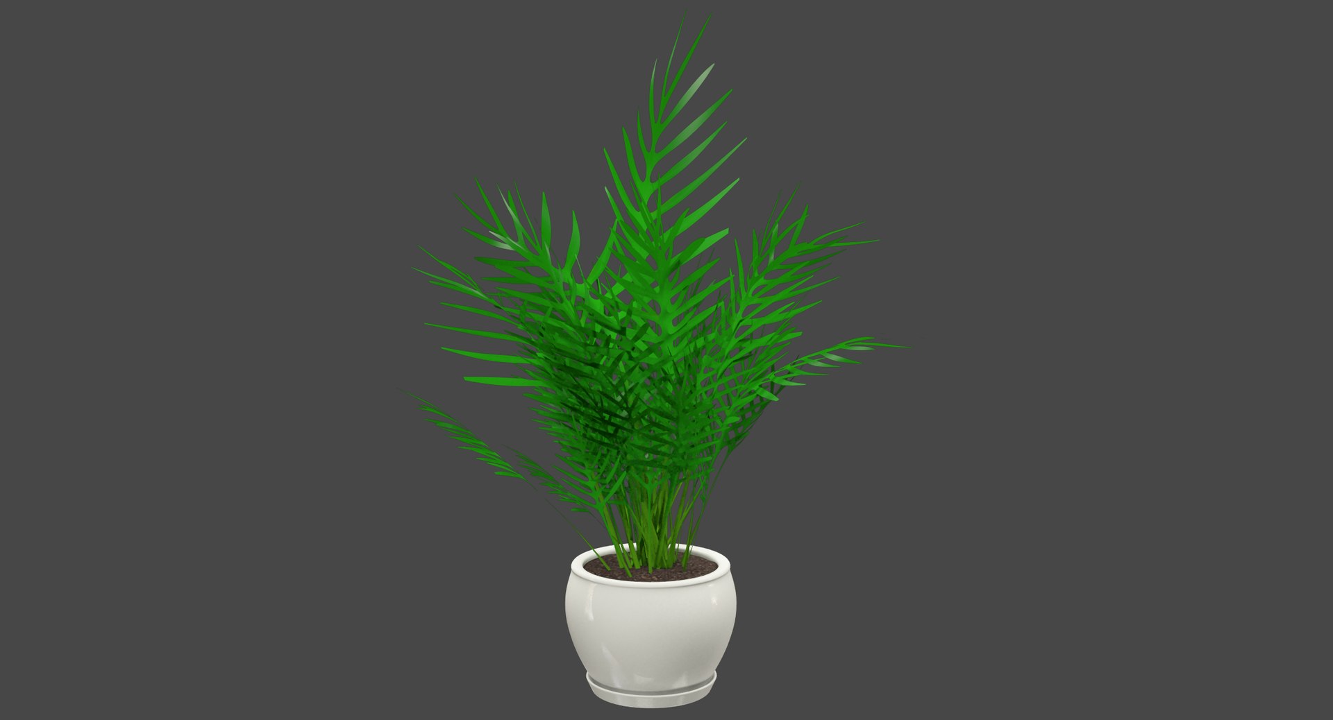 3D model indoor plants https://p.turbosquid.com/ts-thumb/vz/6ymWgl/Kdc079ly/002/png/1530029900/1920x1080/fit_q87/b522bfb57589e7c698ca96287af483e5b3dcdea5/002.jpg