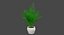 Colección de plantas de interior