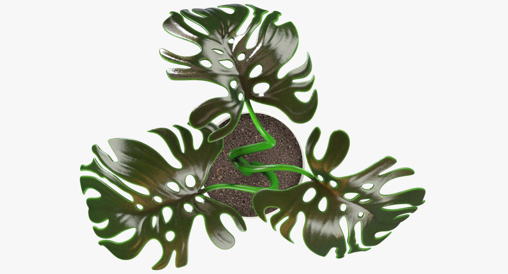 3D model indoor plants https://p.turbosquid.com/ts-thumb/vz/6ymWgl/LgwCNBvY/004_007copy/png/1530028454/1920x1080/fit_q87/ef309a8ca86e5a05b908cbee46ab8bdd7f38592f/004_007copy.jpg