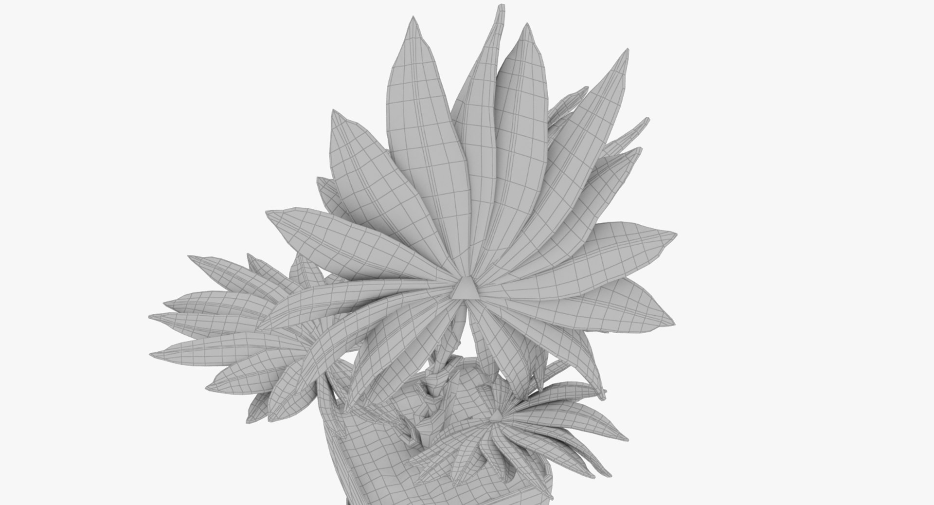 3D model indoor plants https://p.turbosquid.com/ts-thumb/vz/6ymWgl/N7CnHrmX/004_008copy/png/1530028778/1920x1080/fit_q87/91251be6ef25fb8d0d22baafe982498d3dd088fa/004_008copy.jpg
