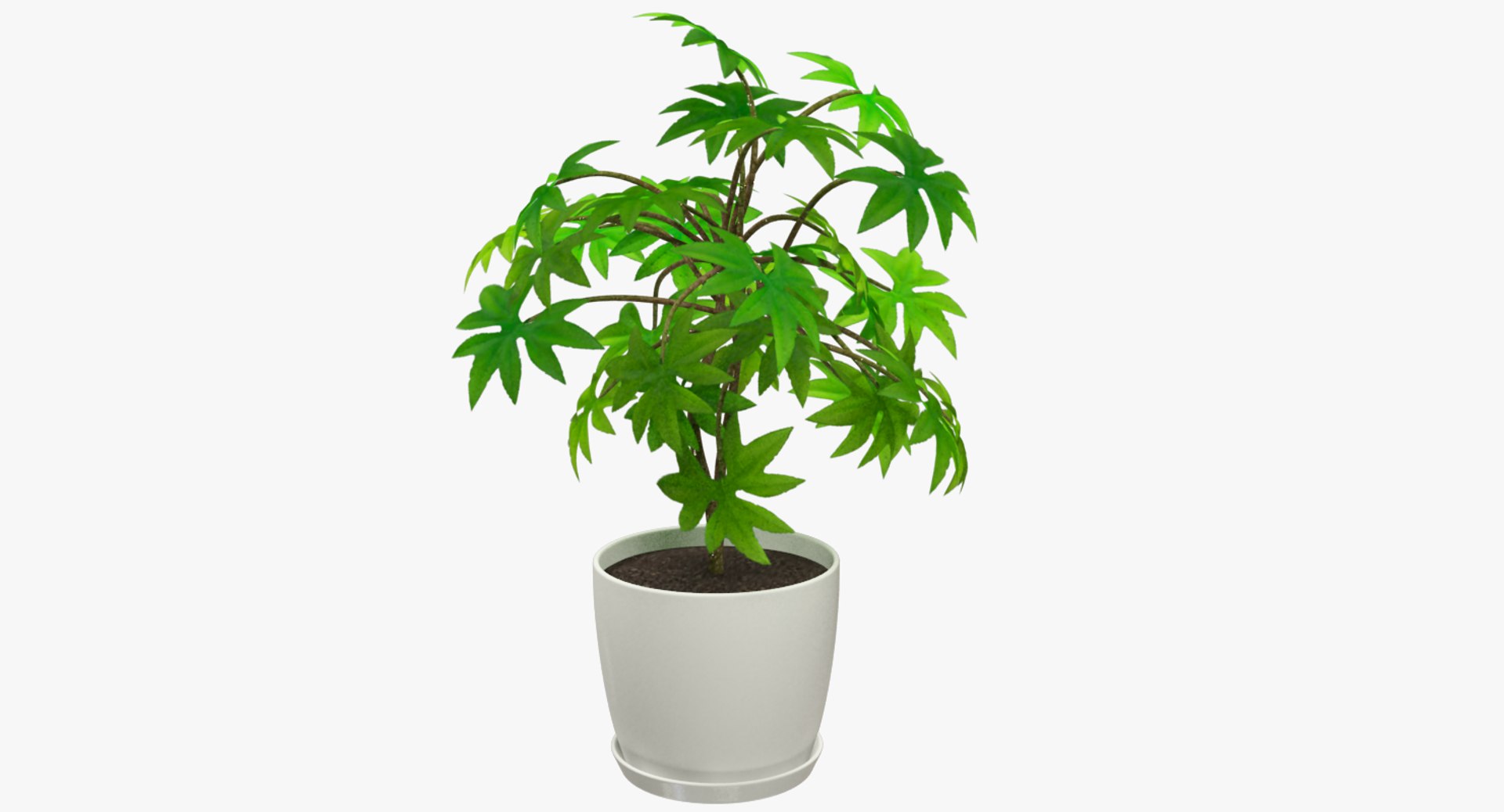 3D model indoor plants https://p.turbosquid.com/ts-thumb/vz/6ymWgl/QMZ2QaWA/004_001copy/png/1530030217/1920x1080/fit_q87/8cf32e476be59e80821f0e88ea30fd3ce4453514/004_001copy.jpg