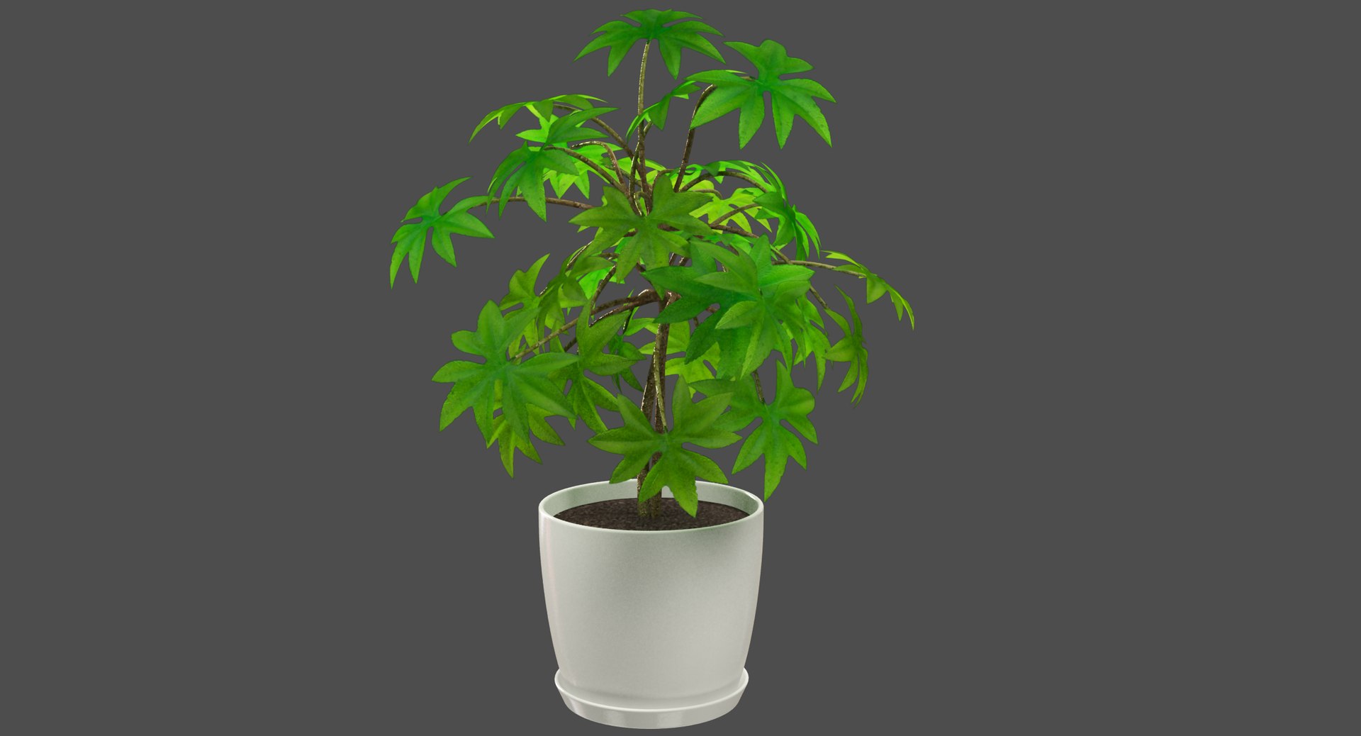 3D model indoor plants https://p.turbosquid.com/ts-thumb/vz/6ymWgl/Qxpt49fr/002/png/1530030173/1920x1080/fit_q87/4ee1d34f3f05c10fc94d52fd40efc264070fe84b/002.jpg