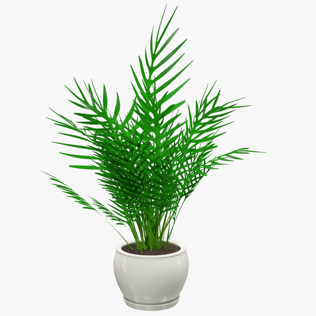 3D model indoor plants https://p.turbosquid.com/ts-thumb/vz/6ymWgl/Uaoktjkq/003/png/1530029886/1920x1080/fit_q87/ce9a27d68d05e8c44ea0a42118e39b592b271e5c/003.jpg