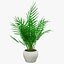 Colección de plantas de interior
