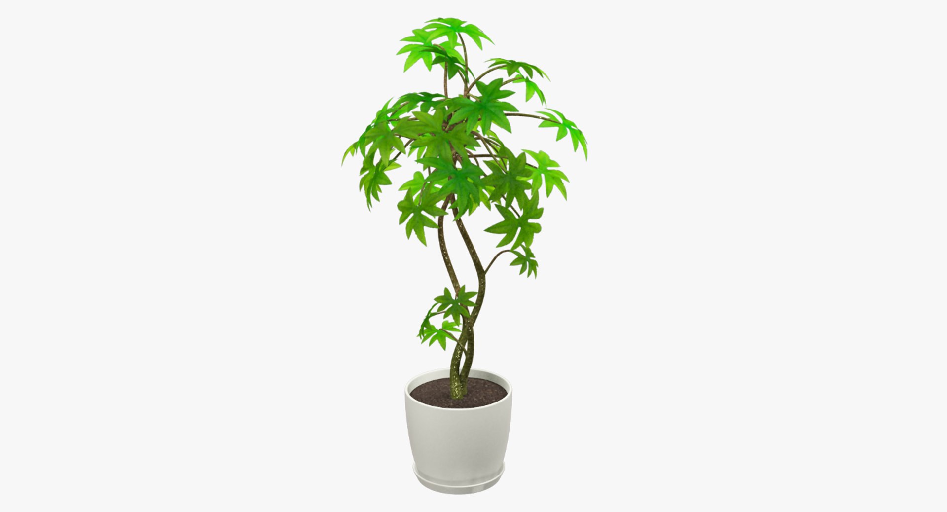 3D model indoor plants https://p.turbosquid.com/ts-thumb/vz/6ymWgl/XVoIC9pH/004_003copy/png/1530029314/1920x1080/fit_q87/c4b26f64850d2f3a67dac443896140ffaa3b7d0d/004_003copy.jpg