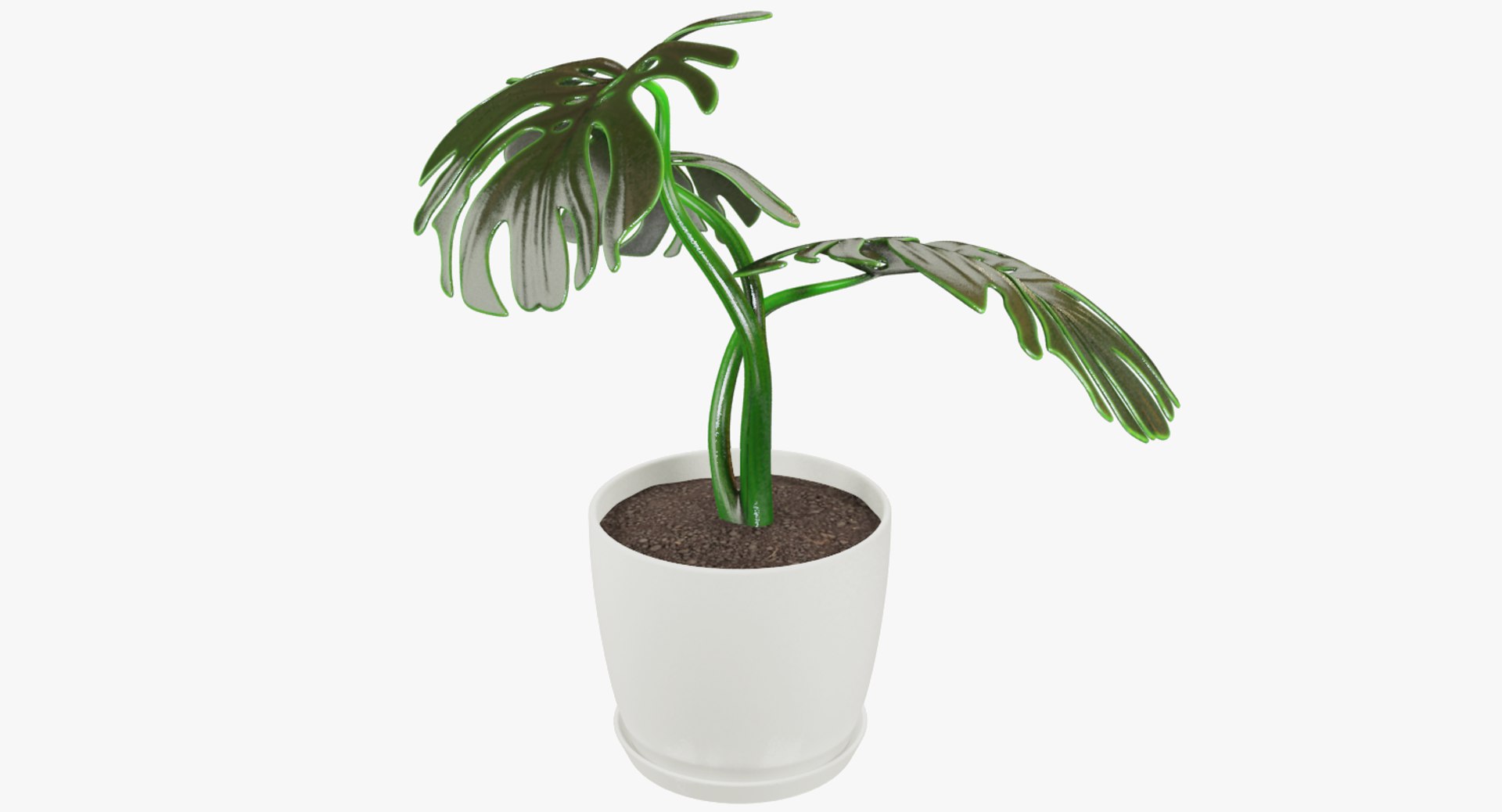 3D model indoor plants https://p.turbosquid.com/ts-thumb/vz/6ymWgl/XhrUbbXj/004_004copy/png/1530028454/1920x1080/fit_q87/1e0e4e32901c5dfa463f45e7d049e85a29ba39f3/004_004copy.jpg