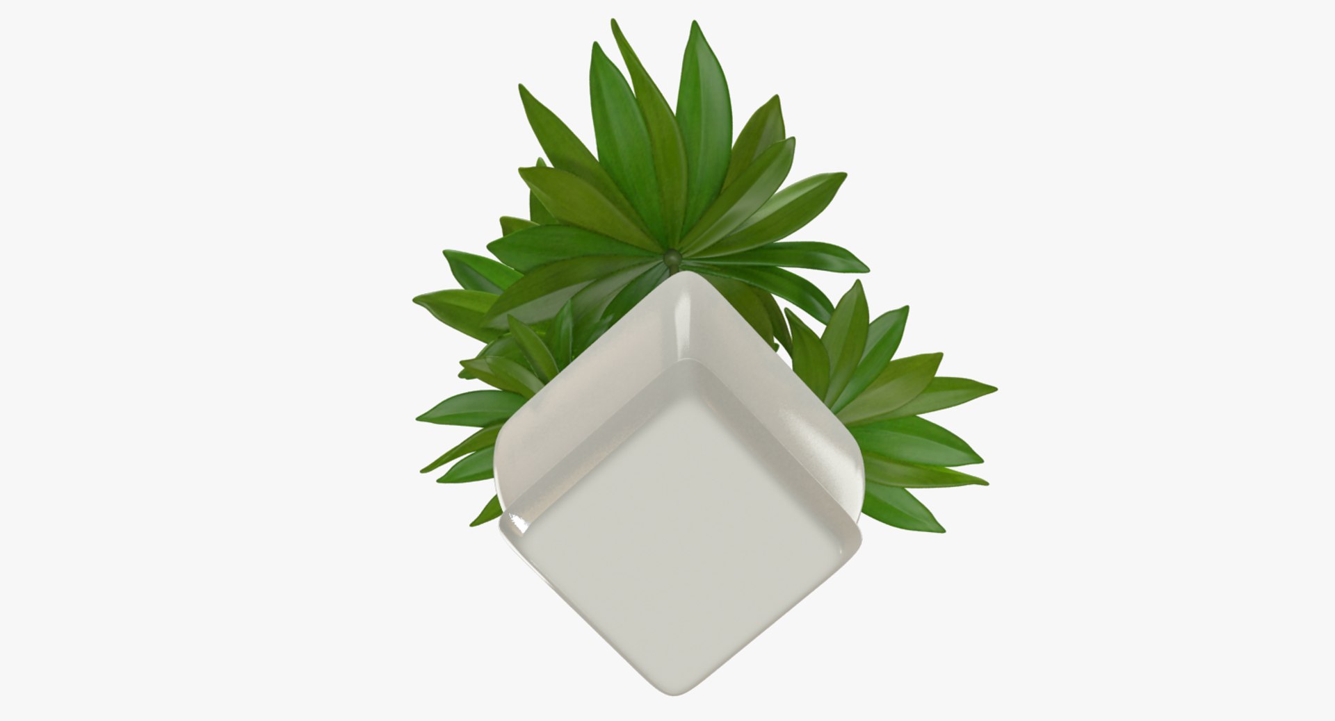 3D model indoor plants https://p.turbosquid.com/ts-thumb/vz/6ymWgl/behnkjpJ/004_005copy/png/1530028778/1920x1080/fit_q87/187e27356269d24b11597a2b431a8e4d55bd196e/004_005copy.jpg
