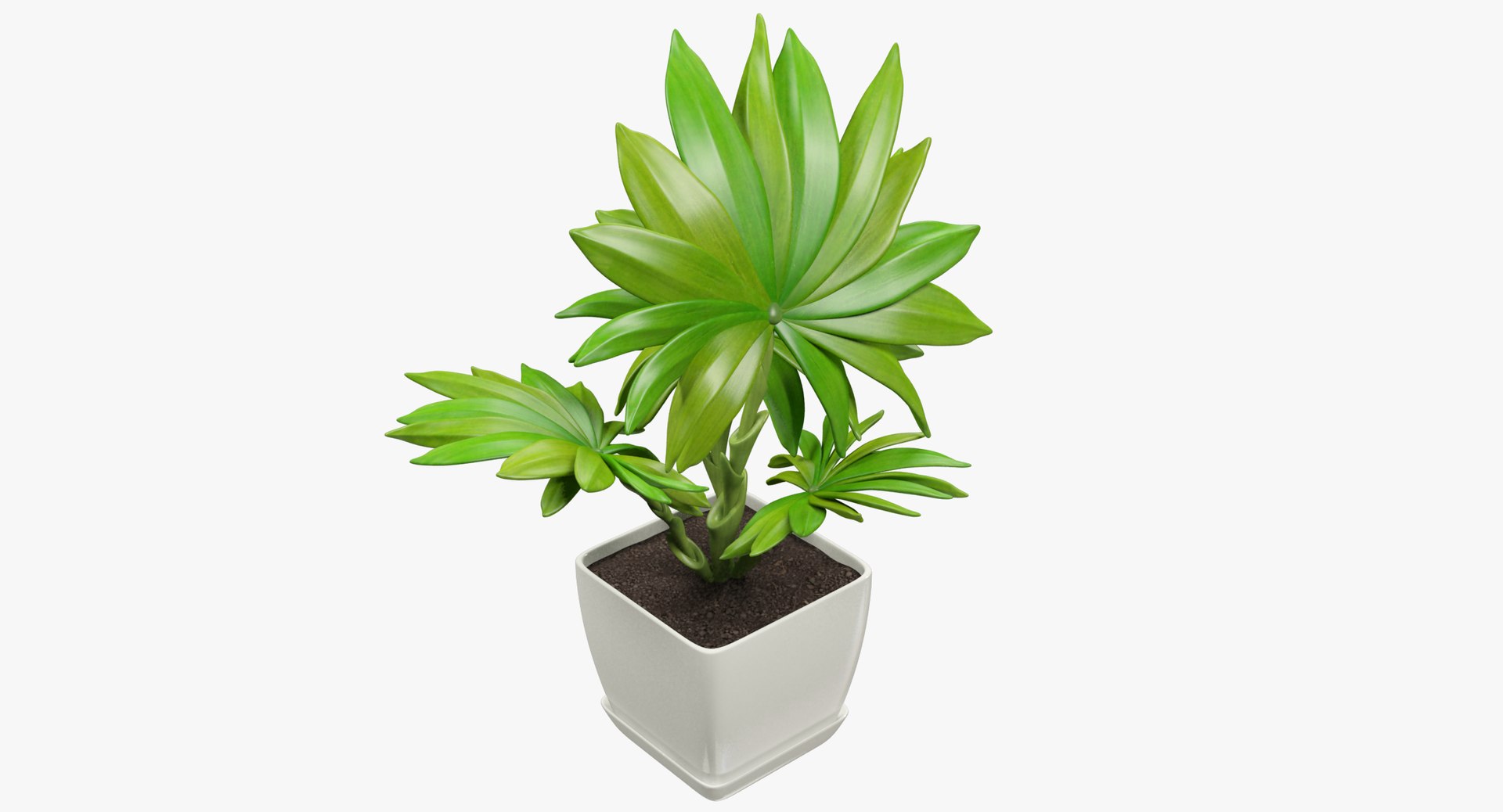 3D model indoor plants https://p.turbosquid.com/ts-thumb/vz/6ymWgl/gGrIVmyn/001/png/1530028735/1920x1080/fit_q87/3a3b125bcd41ff5bfc9d0613b999aa25f76b9dee/001.jpg