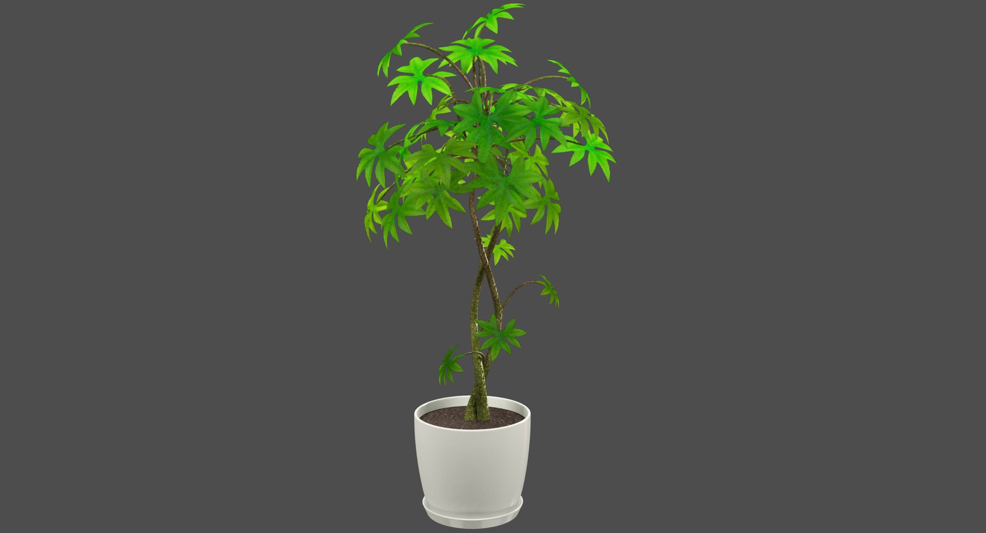 3D model indoor plants https://p.turbosquid.com/ts-thumb/vz/6ymWgl/iIZ20pzW/002/png/1530029270/1920x1080/fit_q87/470c48155c3cfa6ac126c8c848ca9e484e5be8a6/002.jpg